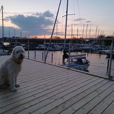 Hausboot Gluecksmomente Mit Dachterrasse In Schleswig Am Ostseefjord Schlei Exterior photo