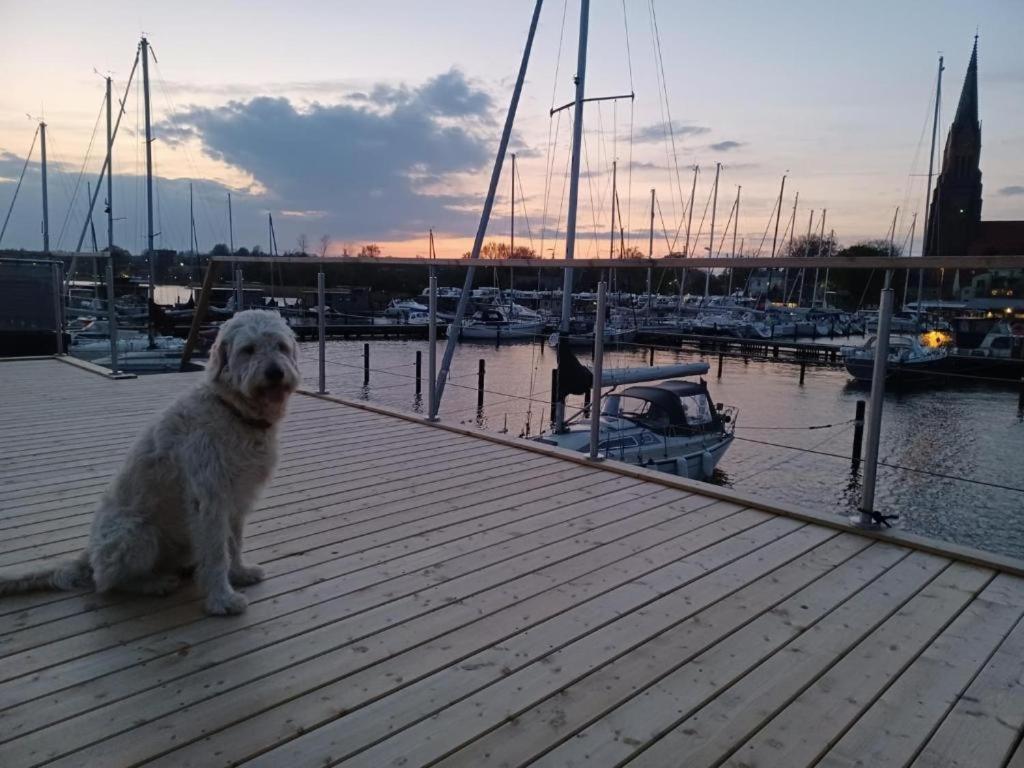 Hausboot Gluecksmomente Mit Dachterrasse In Schleswig Am Ostseefjord Schlei Exterior photo